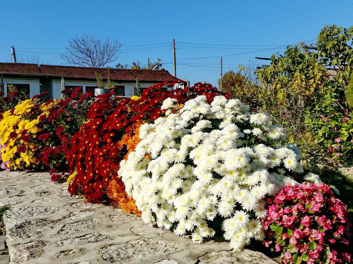 Kosta Bungalows Bŭlgarevo Esterno foto
